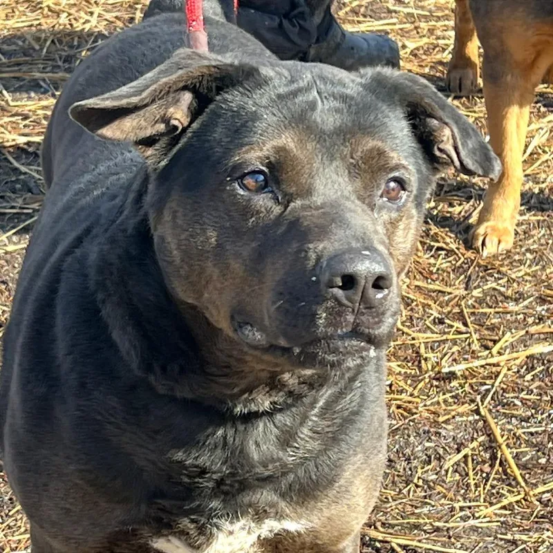 Mayor Maywho thumbnail 5