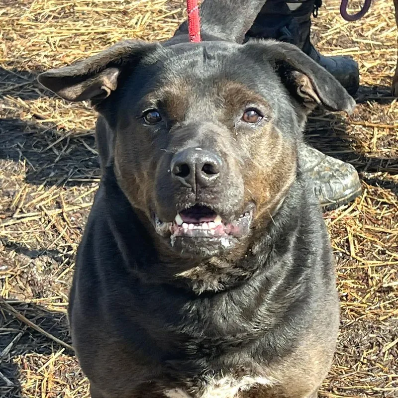 Mayor Maywho thumbnail 6