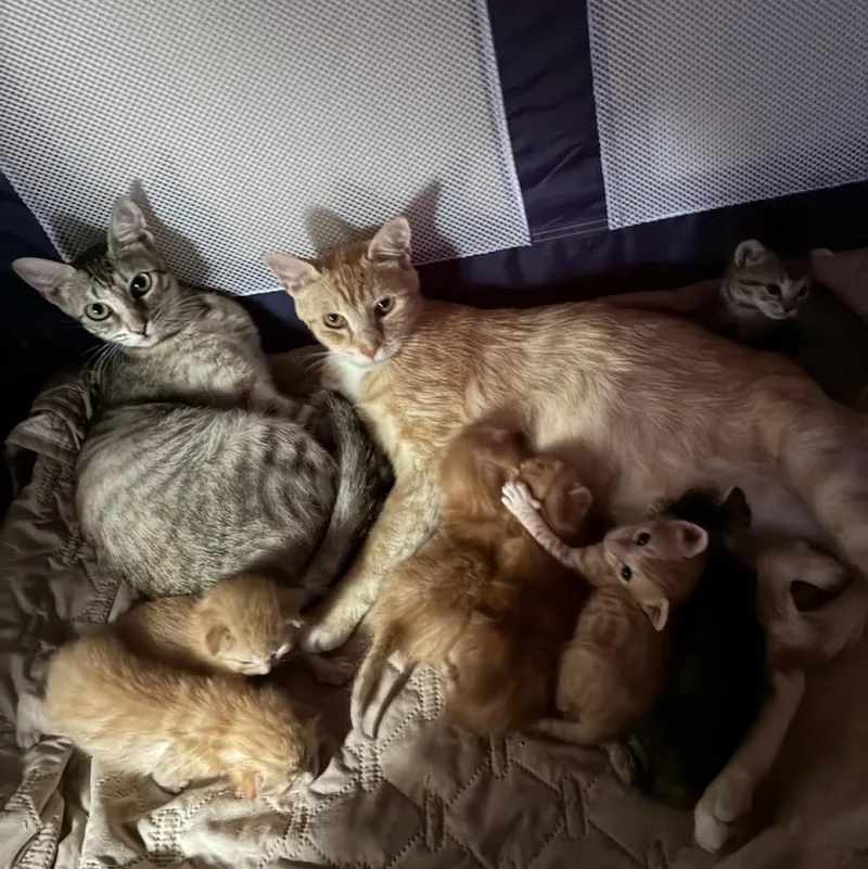 Rain & Sunshine Bonded thumbnail 4