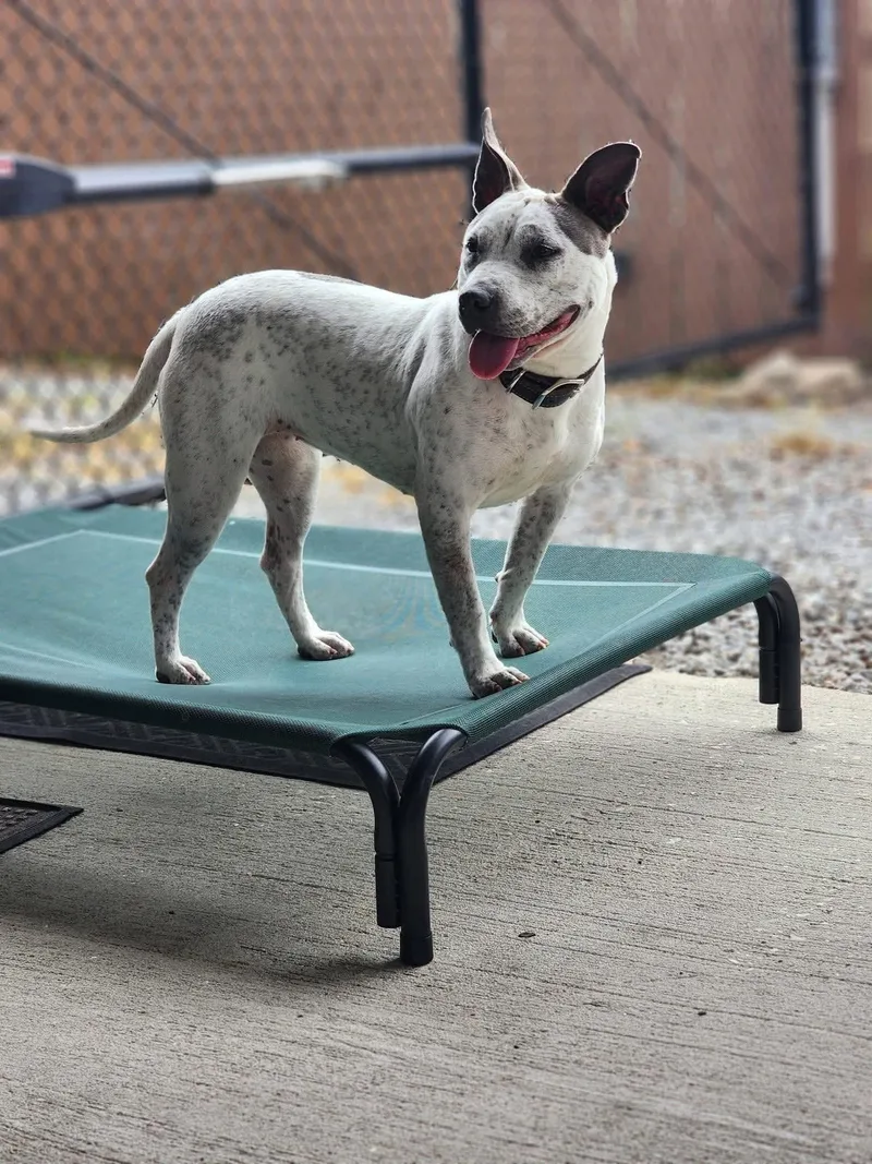 Trinity Certified Good Girl thumbnail 2