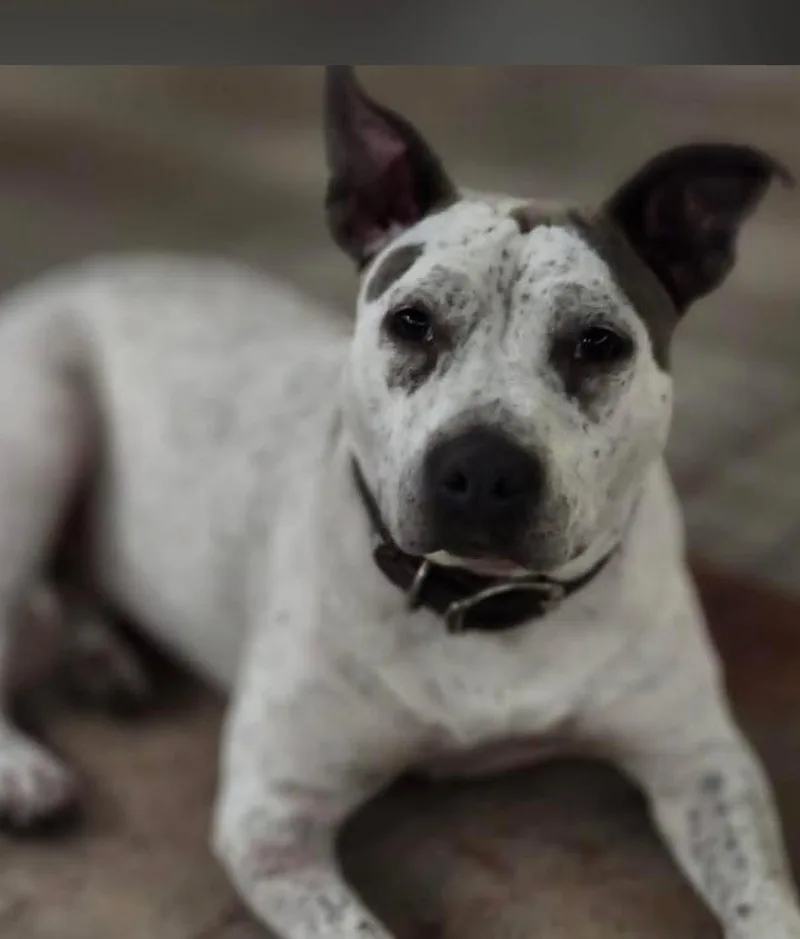 Trinity Certified Good Girl thumbnail 3