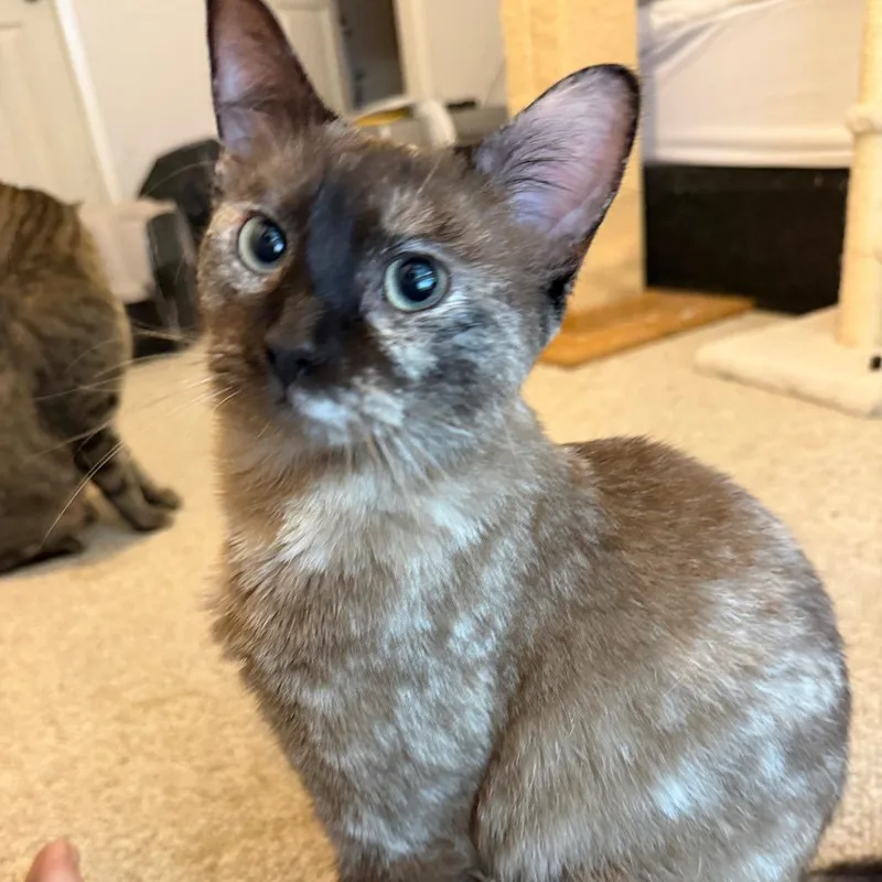 Libby thumbnail 3