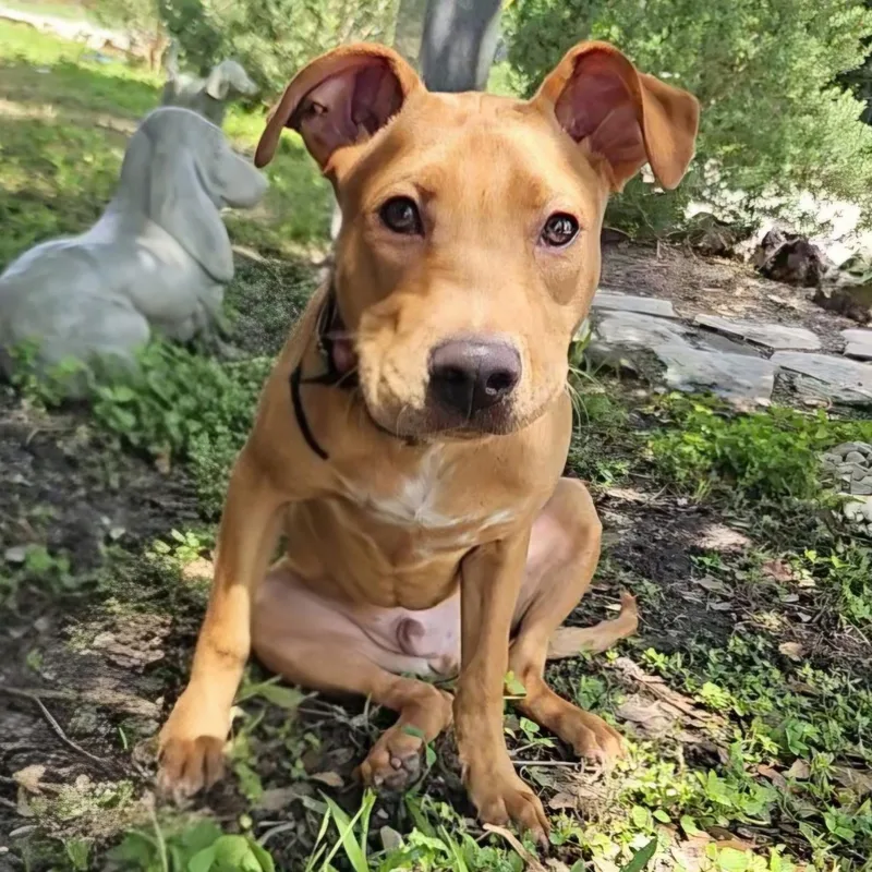 Tucker thumbnail 2