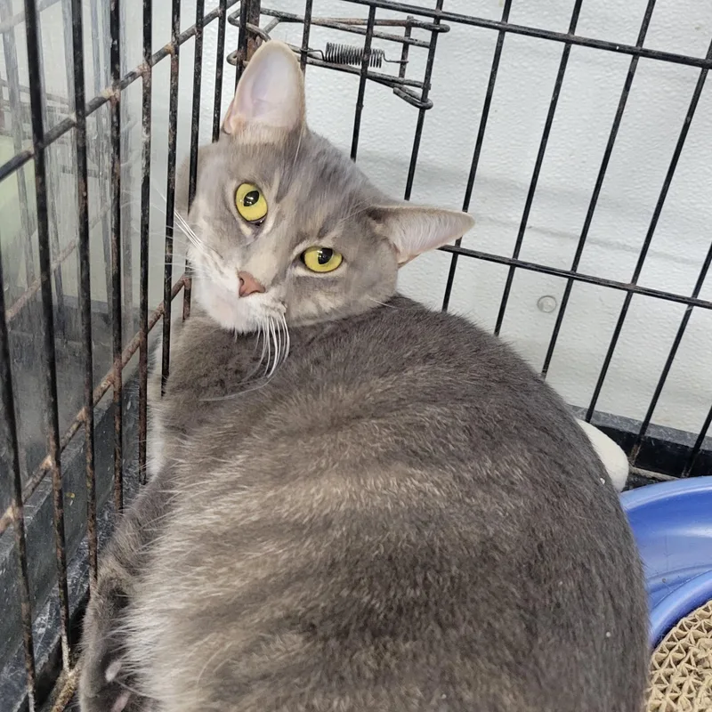 Felicity thumbnail 3