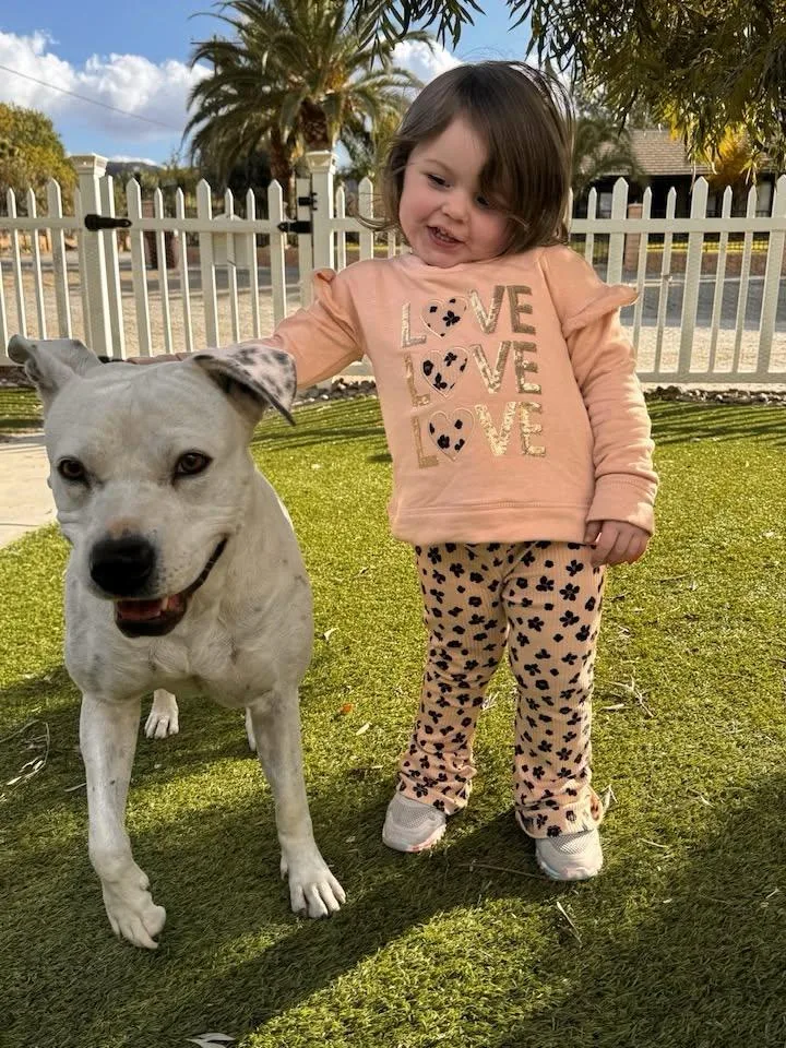 Urgent  Dixie thumbnail 3
