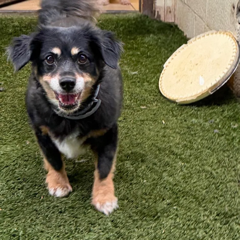 Mindy & Peanut Bonded thumbnail 5