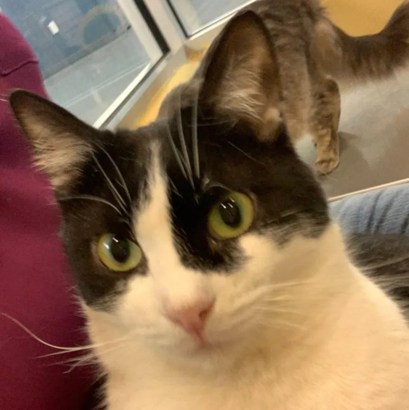 Marion Ravenwood thumbnail 4