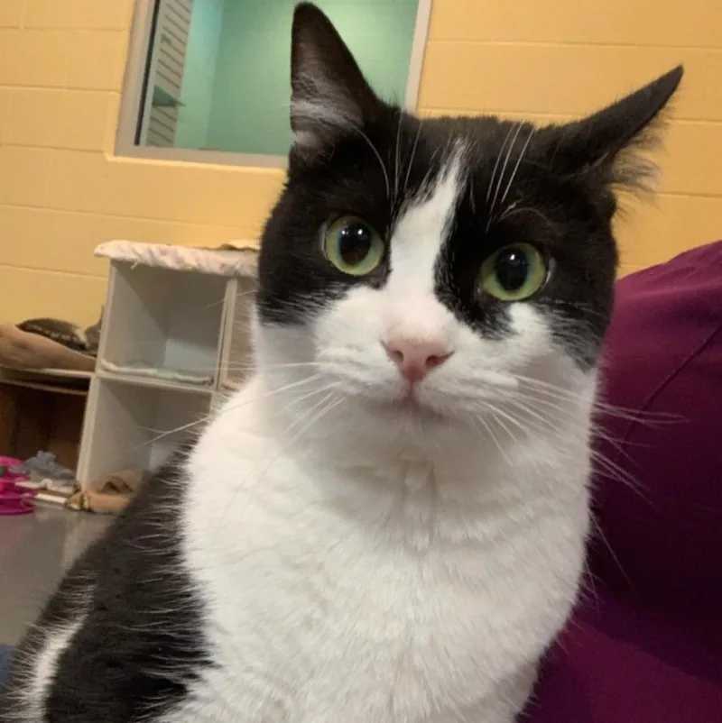 Marion Ravenwood thumbnail 6