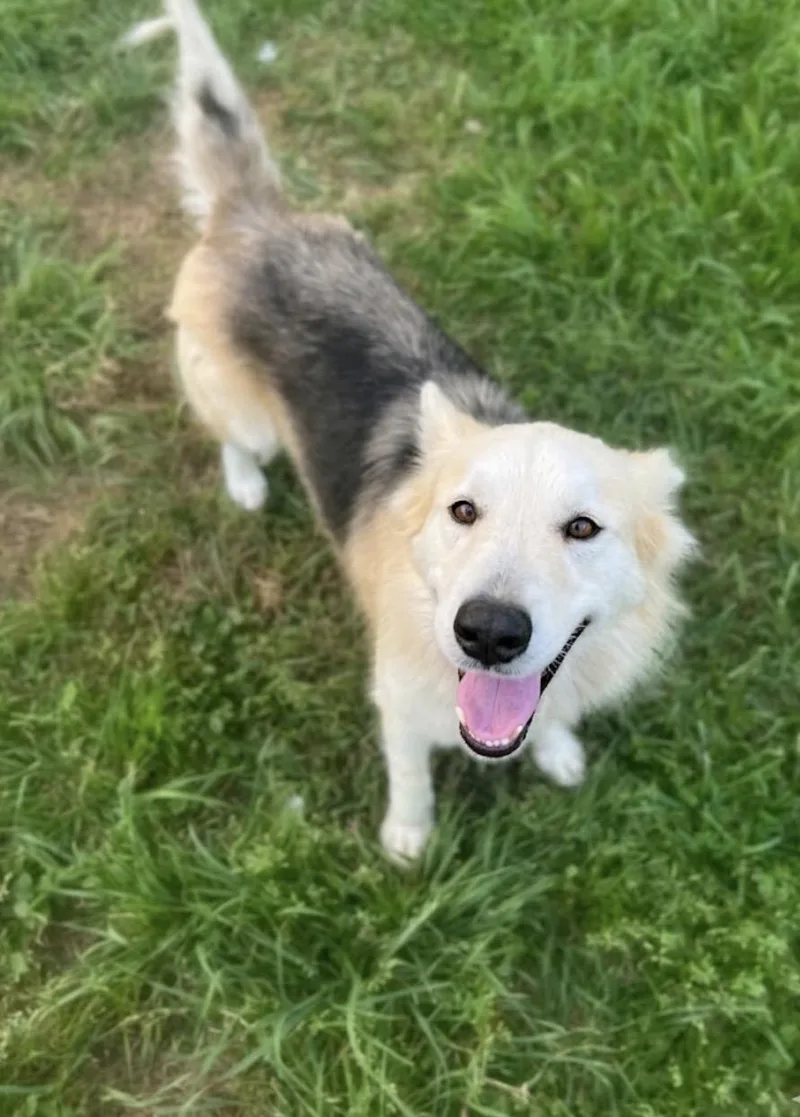 Luna! I’ll Gently Ask thumbnail 4