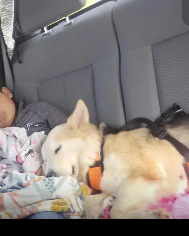 Luna! I’ll Gently Ask thumbnail 6