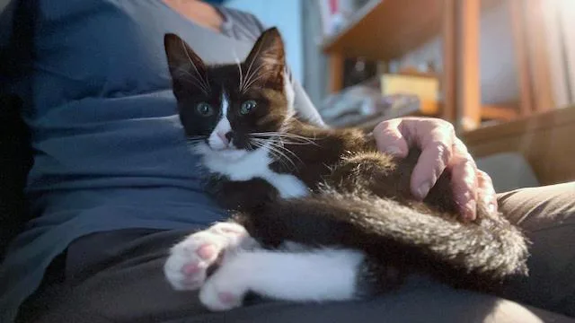 Lulu < Check Out thumbnail 2