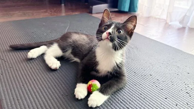 Lulu < Check Out thumbnail 3