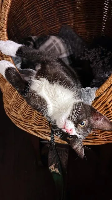 Lulu < Check Out thumbnail 5