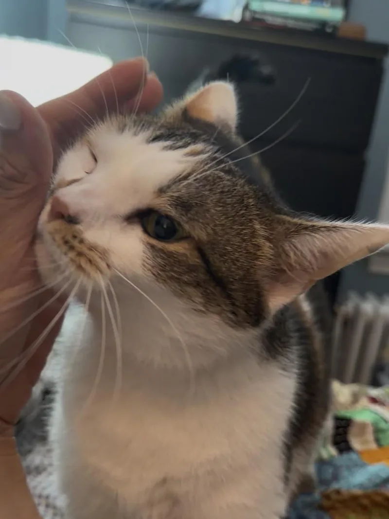 Sophie thumbnail 5