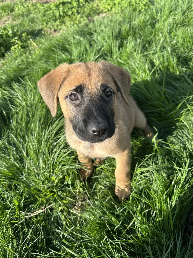 Heart Mercantile thumbnail 2