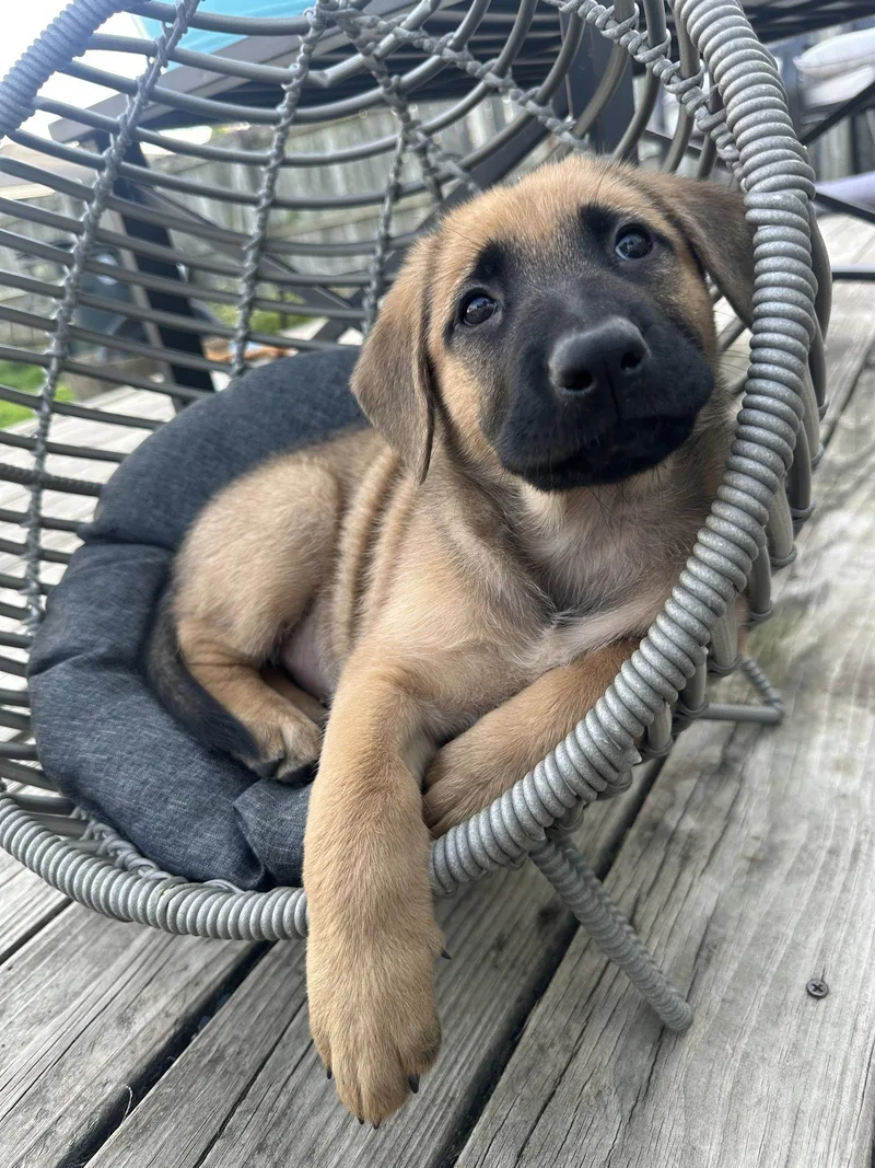 Heart Mercantile thumbnail 3