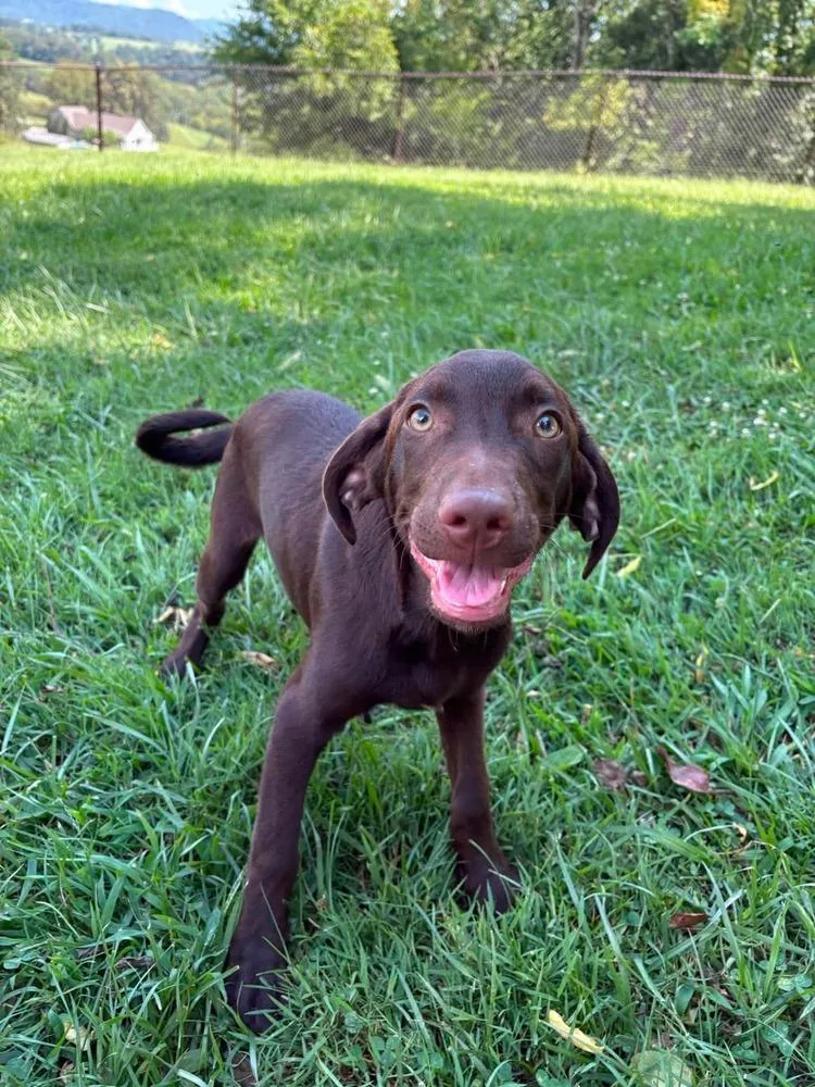Rajah thumbnail 3