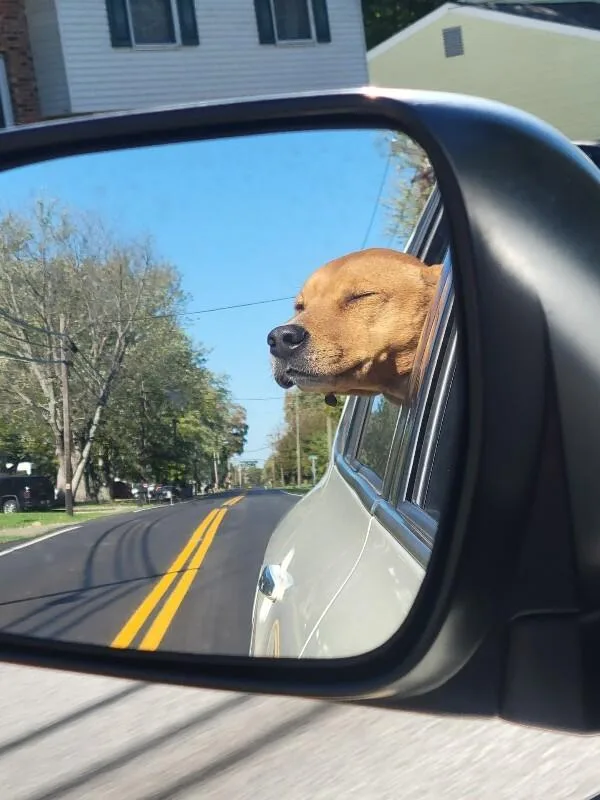 Peanutbutter thumbnail 3