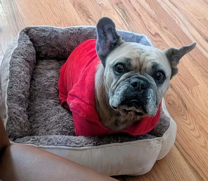 Lulu thumbnail 3