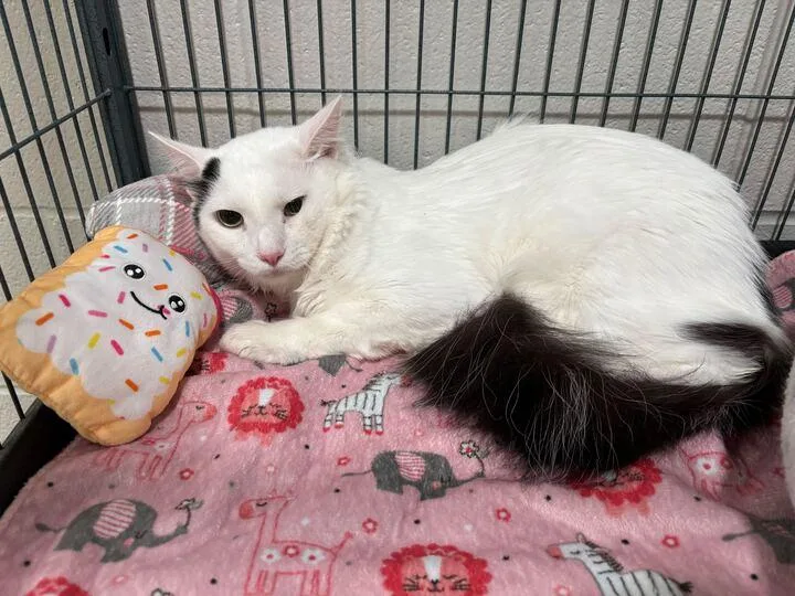 Lil Baby thumbnail 2