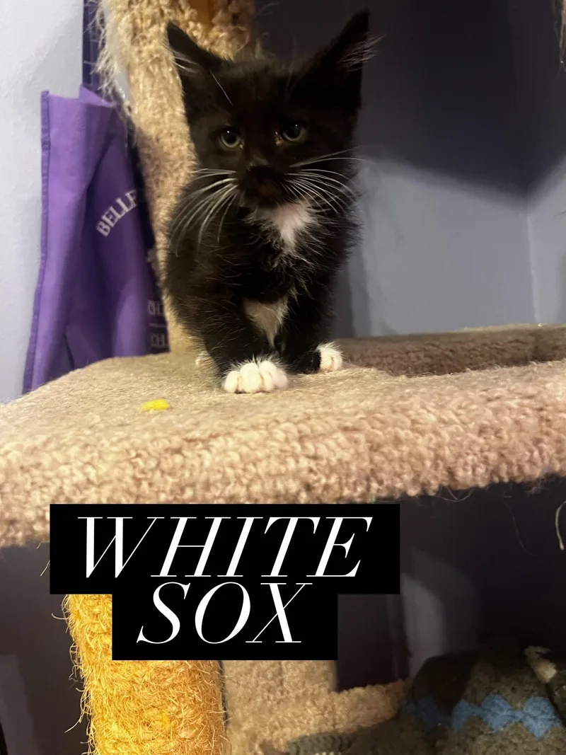 White Sox