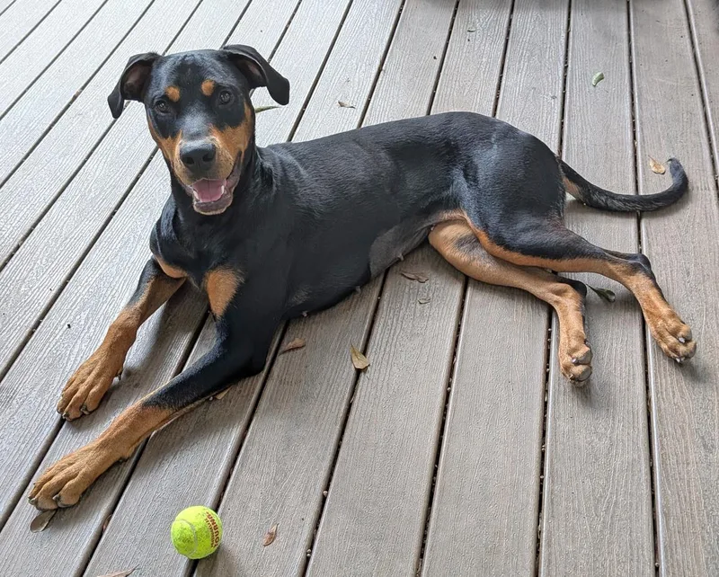 Crystal thumbnail 2