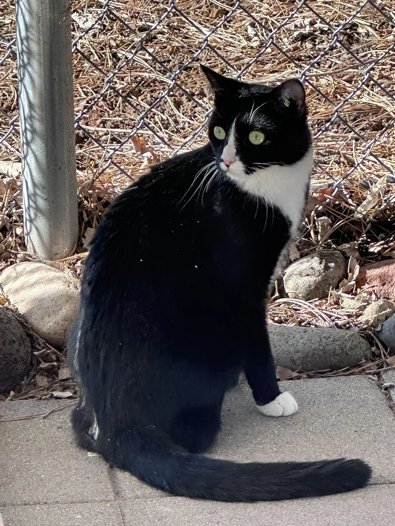 Walter