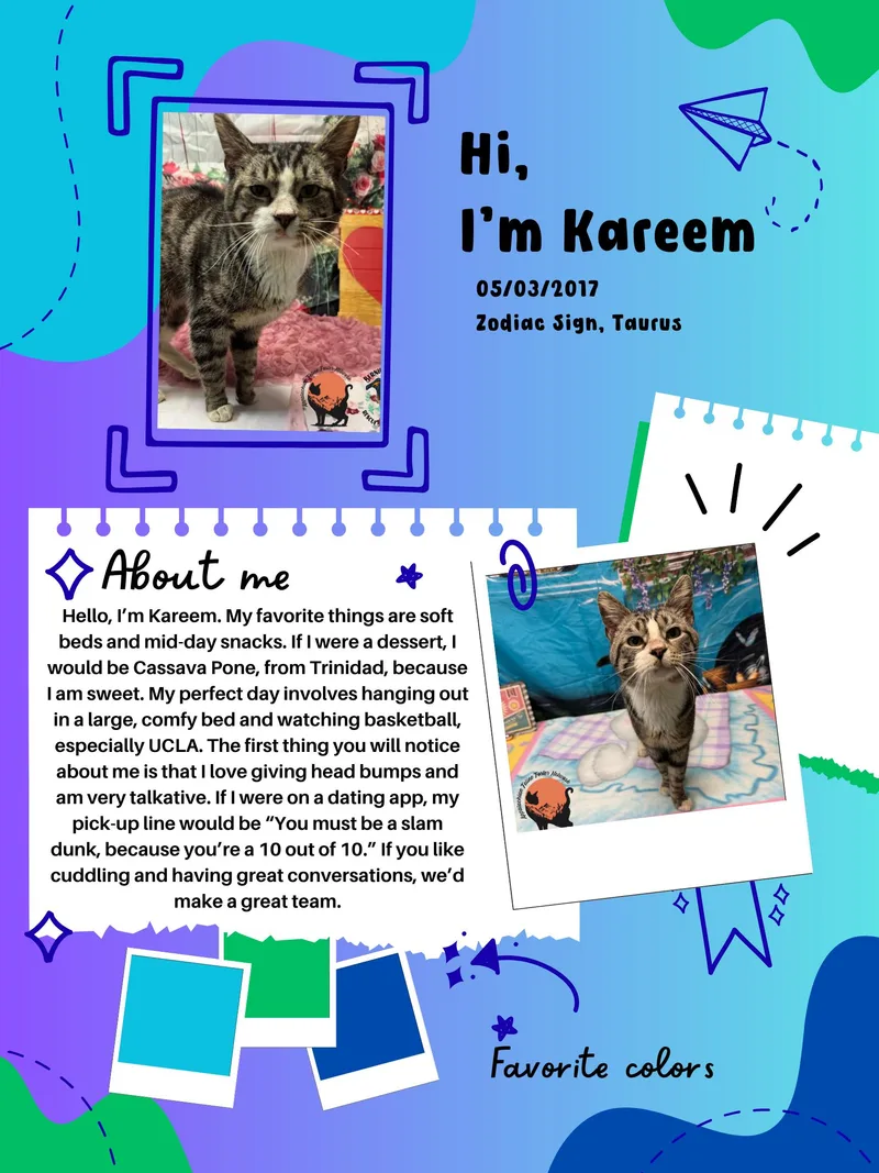 Kareem thumbnail 4