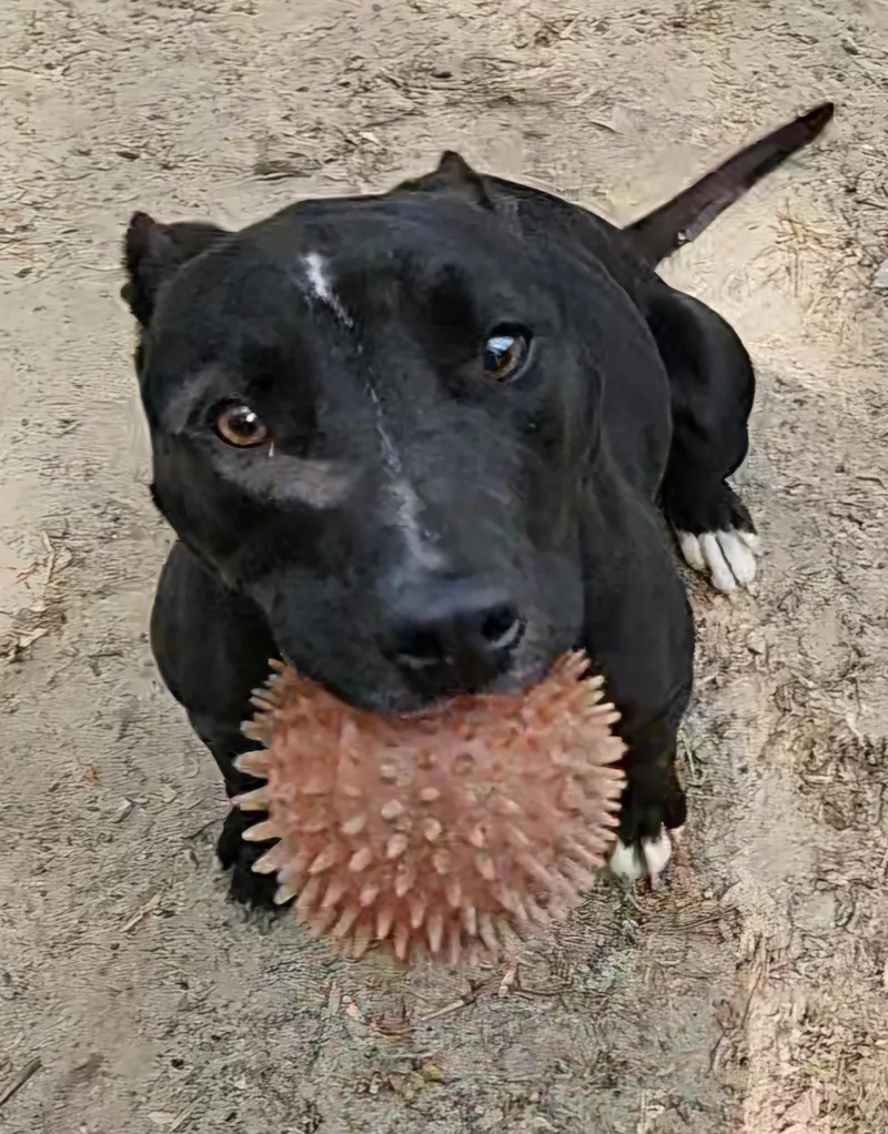 Maryanne thumbnail 2