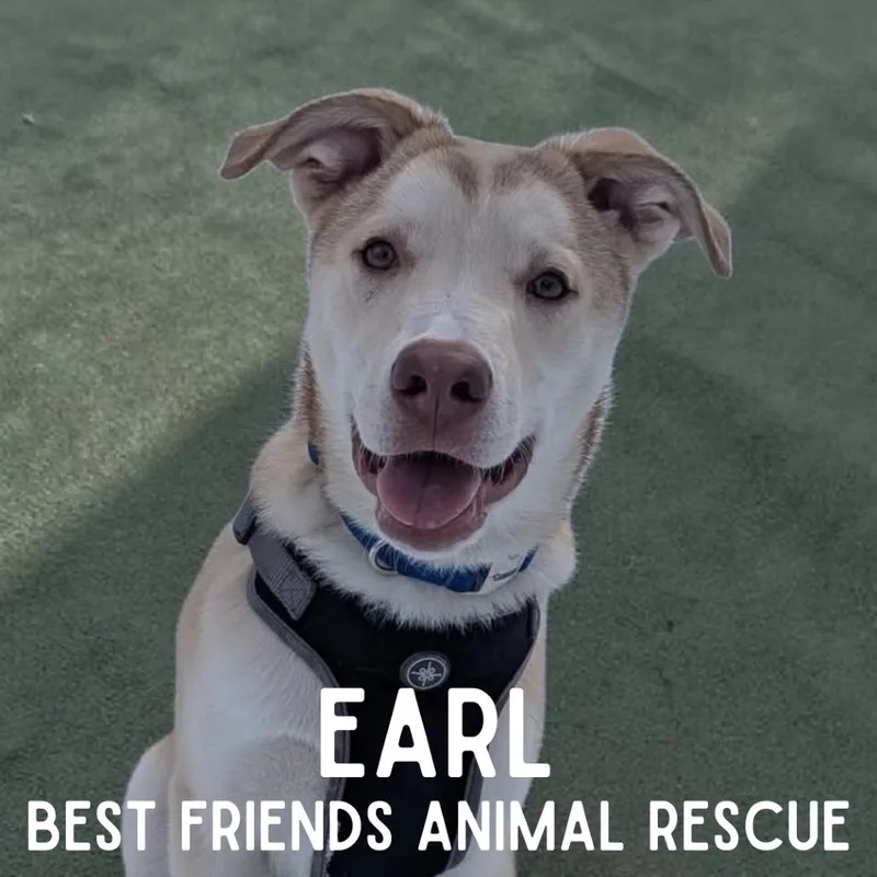 Earl