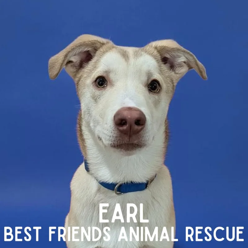 Earl thumbnail 2
