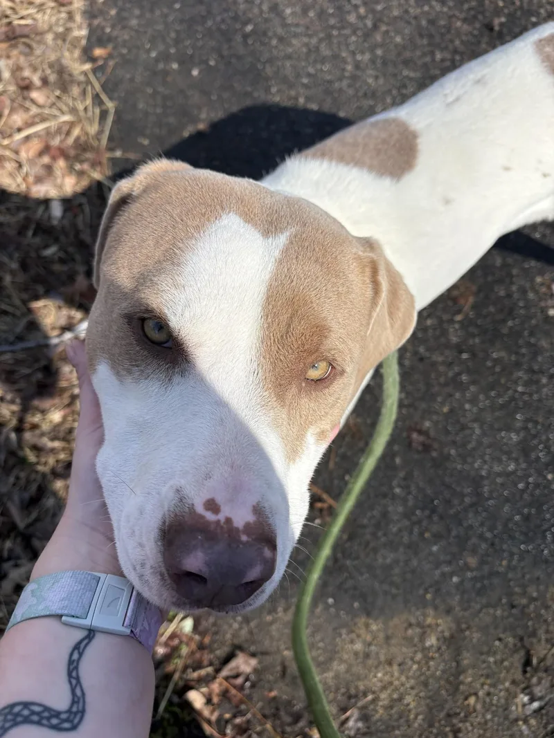 Isabella thumbnail 2