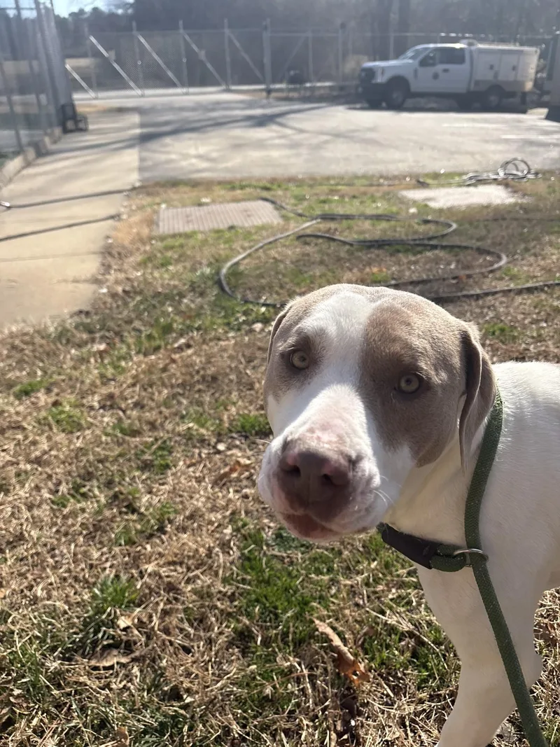 Isabella thumbnail 3