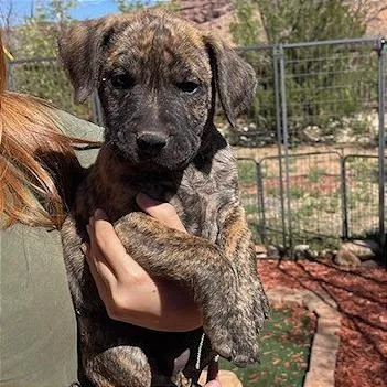 Bugs Bunny thumbnail 2