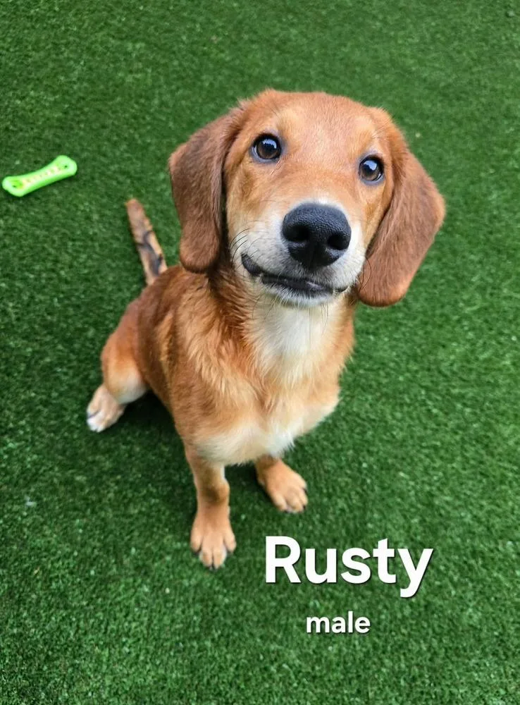 Rusty