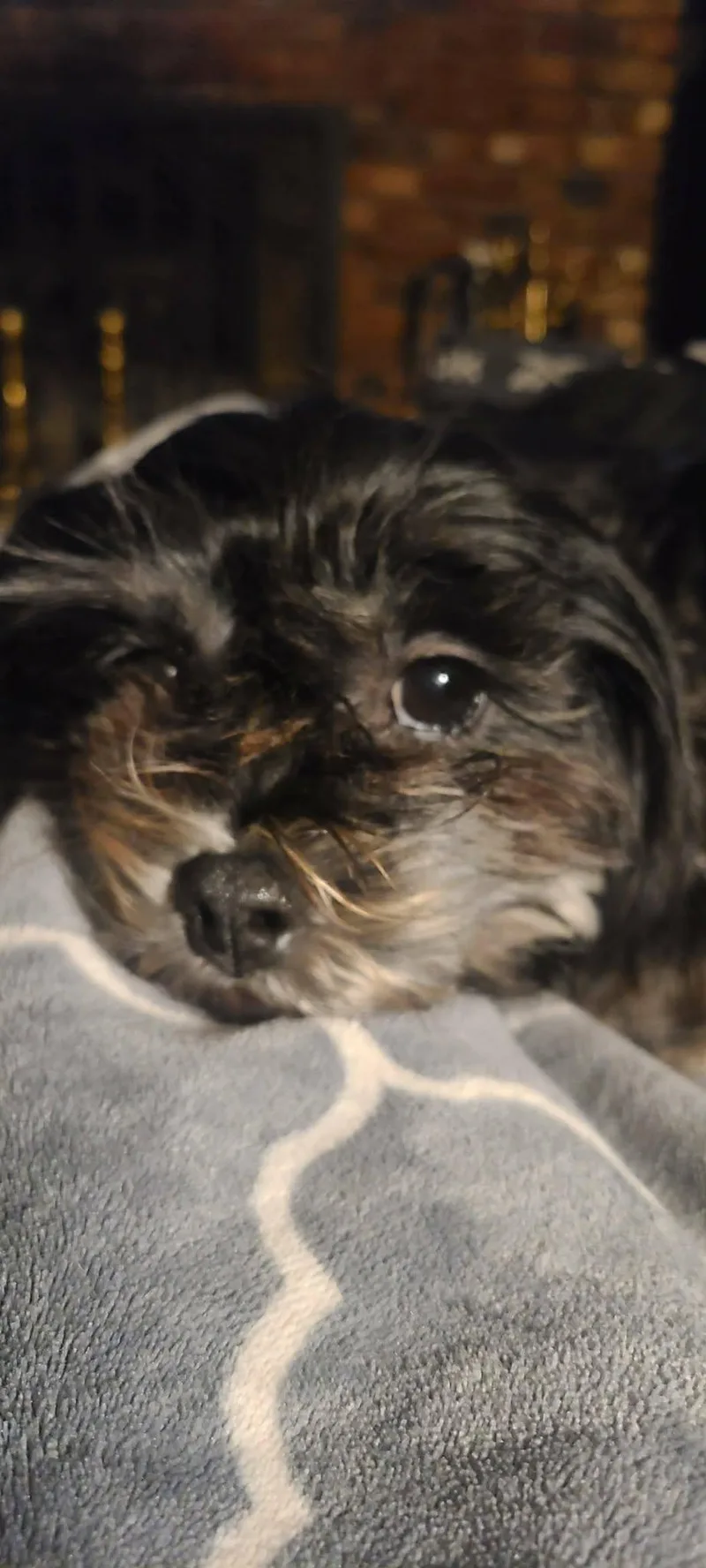 Gracie and Klusia thumbnail 5