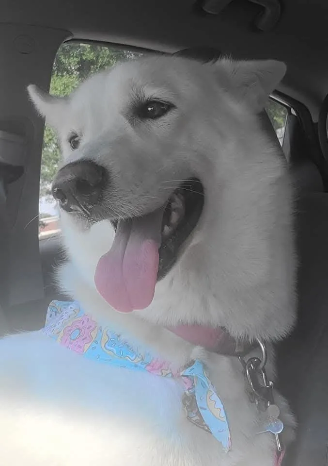 Zcldghost thumbnail 2