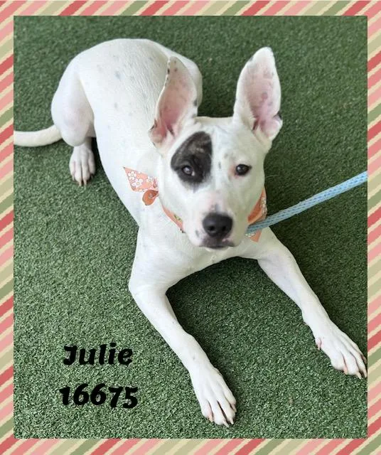 Julie thumbnail 6