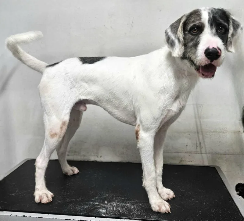 Hank "mr. Loveable!" thumbnail 2