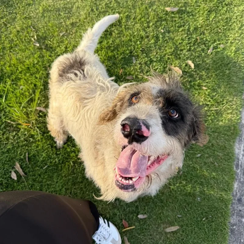 Hank "mr. Loveable!" thumbnail 3