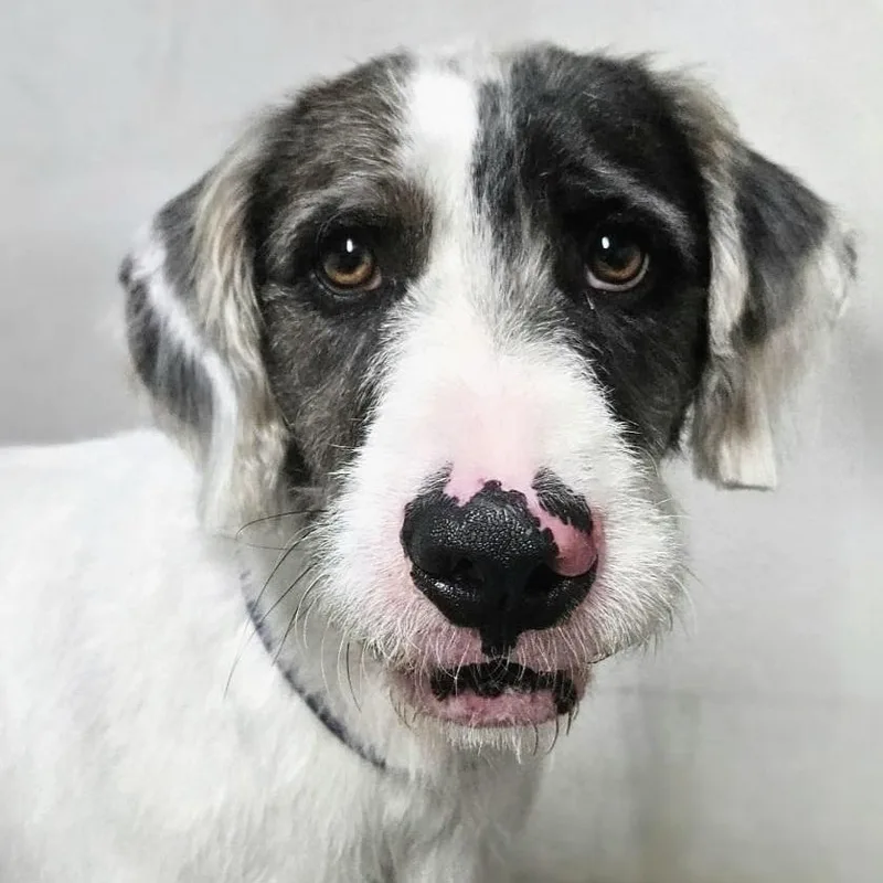 Hank "mr. Loveable!"