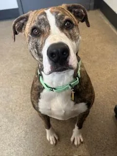 Home Run thumbnail 2