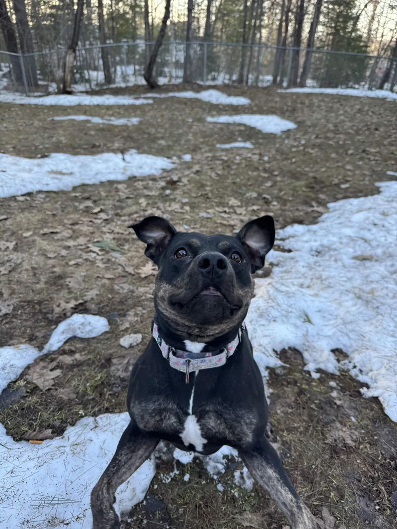 Nina