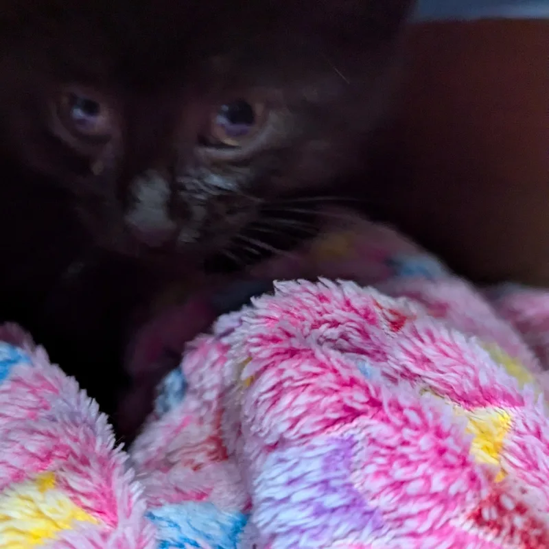 Baby Nora   thumbnail 2