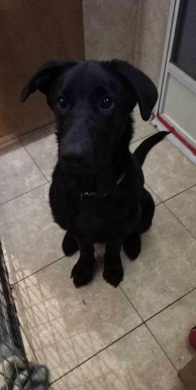 Chloe