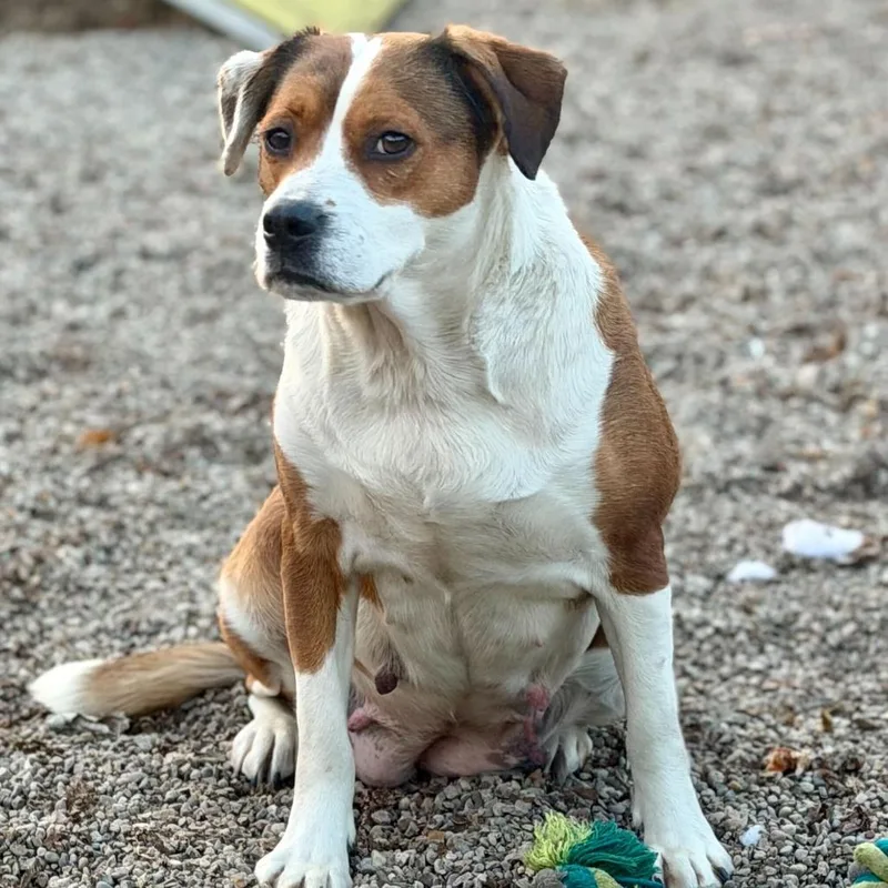 Lil' Mama thumbnail 2