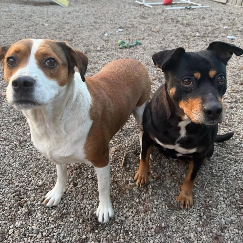 Lil' Mama thumbnail 3