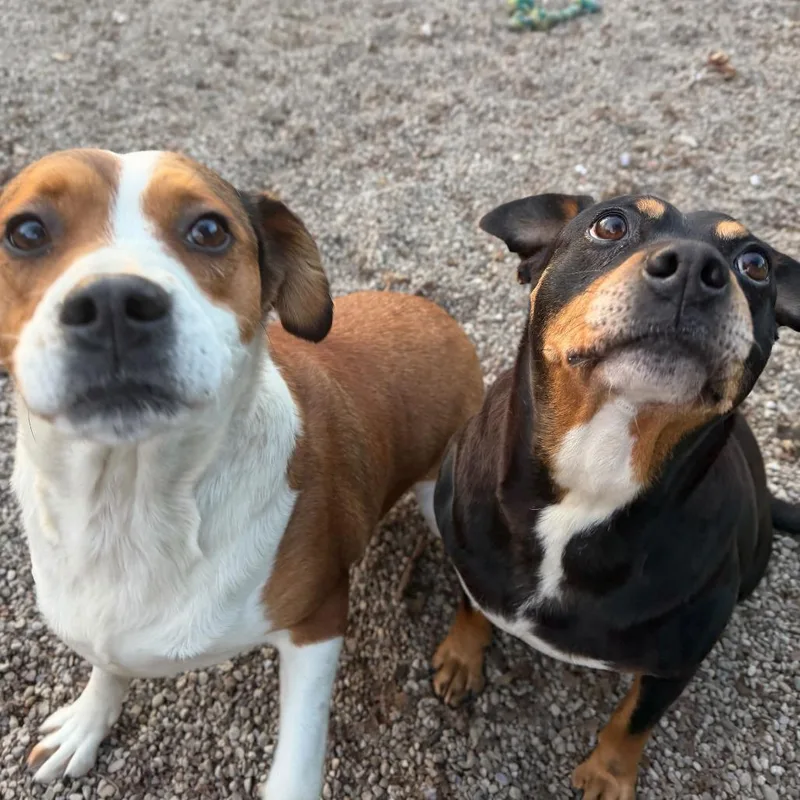 Lil' Mama thumbnail 4