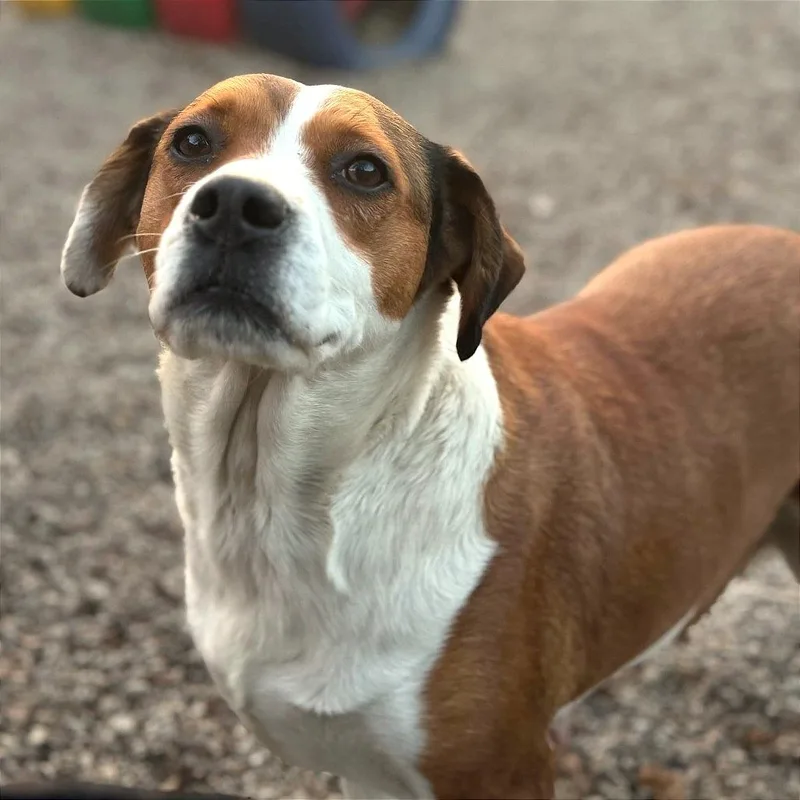 Lil' Mama thumbnail 5