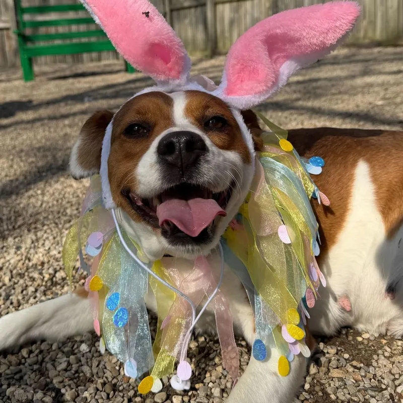 Lil' Mama thumbnail 6